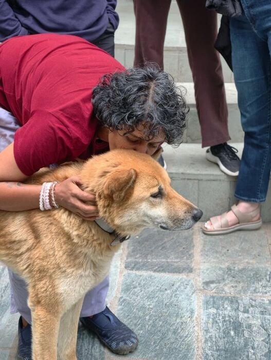 Nitya kissing a rescued street dog